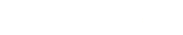 Breuninger Insurance